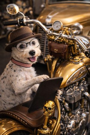 16c4ec4e-359f-4c2b-ac34-82908e5d5118